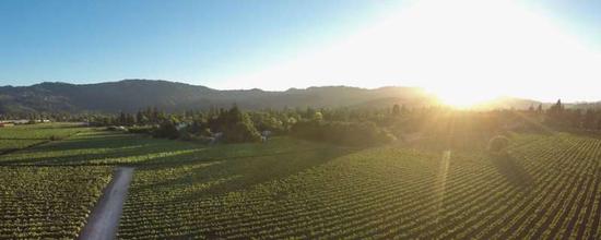 图片来源:napavintners.com