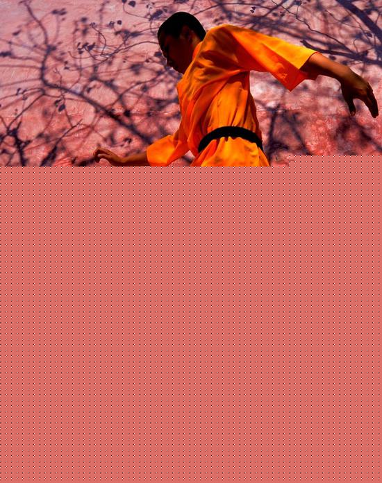 新华社:有人打着武术旗号 做欺诈行骗的营生