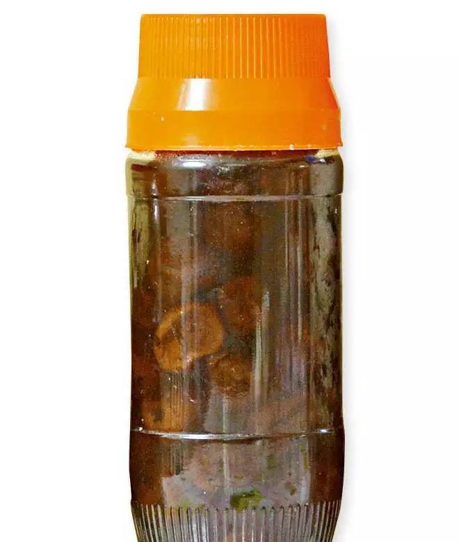 厉害!潮汕人的"止咳神器" 百试百灵