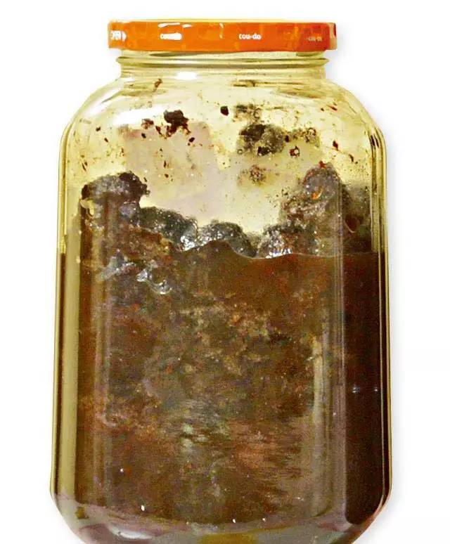 厉害!潮汕人的"止咳神器" 百试百灵