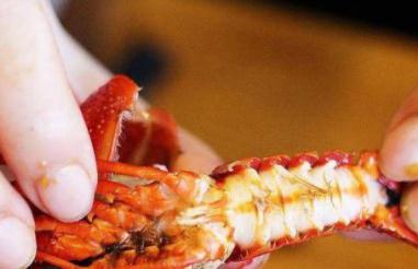 小龙虾虾头里面是虾黄还是虾屎?不懂别乱吃,让别人“笑话”你!