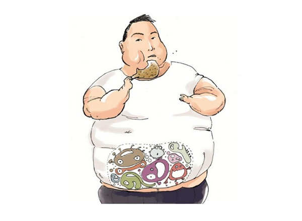 为什么现在亚健康状态的人越来越多?肥胖可能是你“自身中毒”了