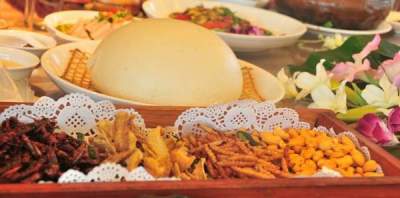 游云南腾冲品尝各种虫子和土菜