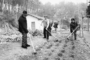 湖北麻风岛:真实记录人类与麻风病的抗争史(图)
