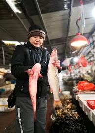 开春第一鲜就吃"开凌梭" 本地梭鱼在3月中下旬大量上市