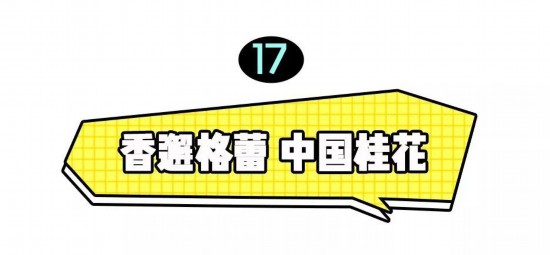 19款平价香水大合集,学生党也无负担!