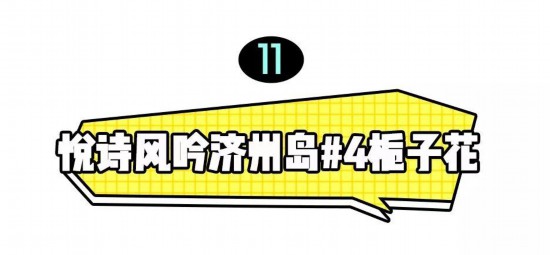 19款平价香水大合集,学生党也无负担!