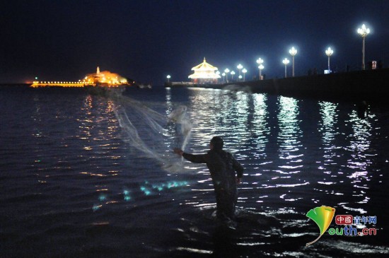 青岛梭鱼扎堆引发捕捞潮 市民昼夜下海撒网捞鲜