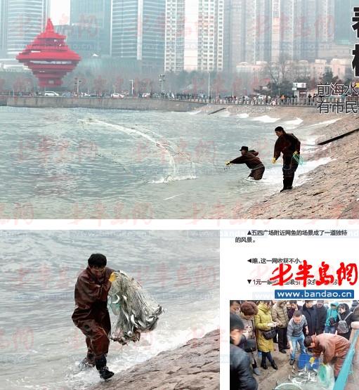 前海水质改善梭鱼成群 有市民一天能捕百余斤