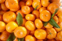 一个橘子5味药 每天一个桔子最防三癌中医认为，桔子具有润肺、止咳、化痰、健脾、顺气、止渴的药效。尤其是老年人、急慢性支气管炎以及心血管病患者，是食用的上乘果品。【详细】卫生健康|健康图集