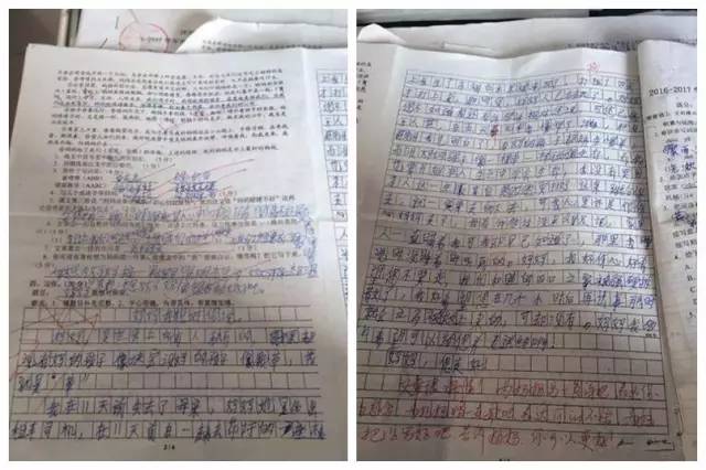 妈妈车祸去世,11岁儿子作文中竟这样写…