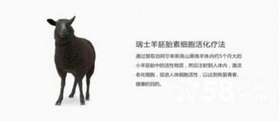 瑞士全面叫停非法羊胎素治疗法终结“美丽神话”