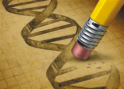 想吃啥样的西红柿?“编辑”吧!(关注)