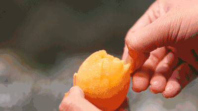 甜过初恋!浙江11个初夏水果采摘地,吃上3天3夜都不够!