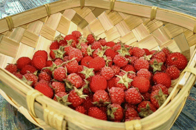 甜过初恋!浙江11个初夏水果采摘地,吃上3天3夜都不够!