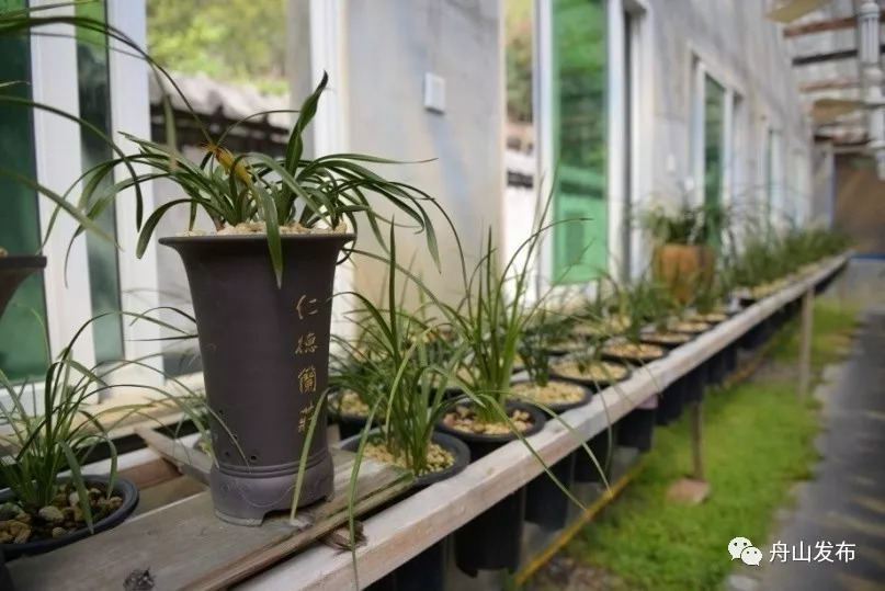 谁将入选？舟山十大特色农产品评选，投票有福利！