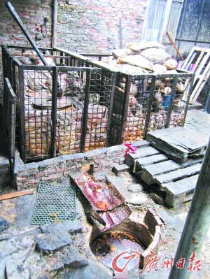 收集来的原料被放在大笼子里,压出油水。