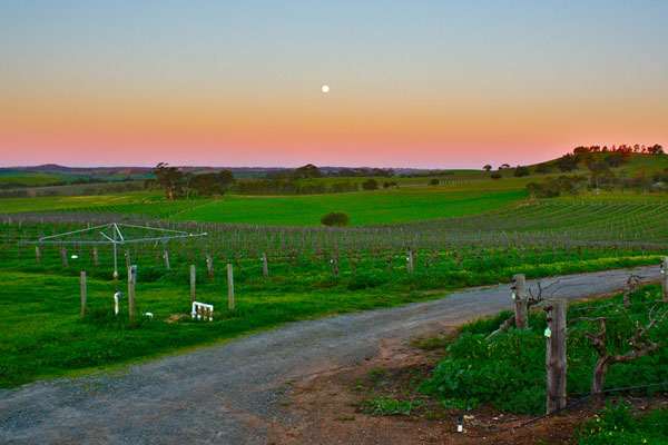 一篇微信带你解读澳大利亚最牛掰的南澳产区