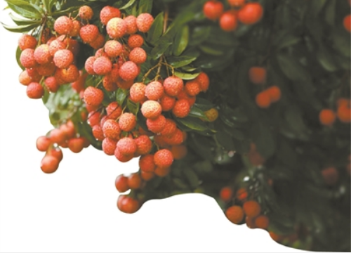 广州市人民政府门户网站