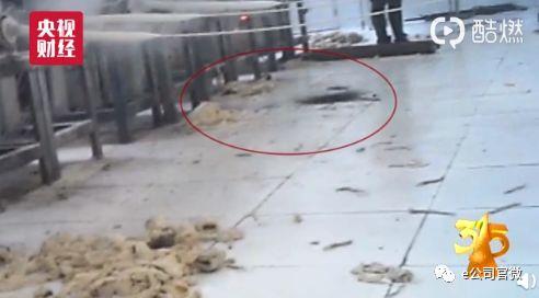 315曝光这些套路:被点名美股暴跌13% 上市公司急声明