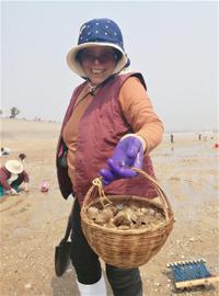 鲜就一个字!灵山湾落大潮 花皮蛤蜊一挖一个准