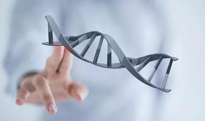 NMN中国:关于抗衰老物质NMN你要知道的那些事