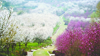 循着春的花香 走进夏的荫萌