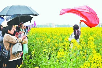 循着春的花香 走进夏的荫萌