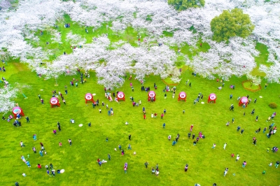 循着春的花香 走进夏的荫萌