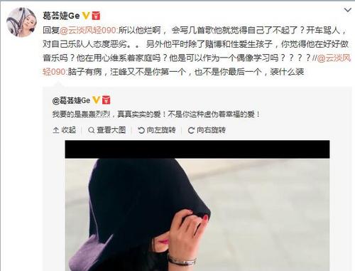 旧爱葛荟婕痛斥汪峰烂人:只知道赌和性爱(图)