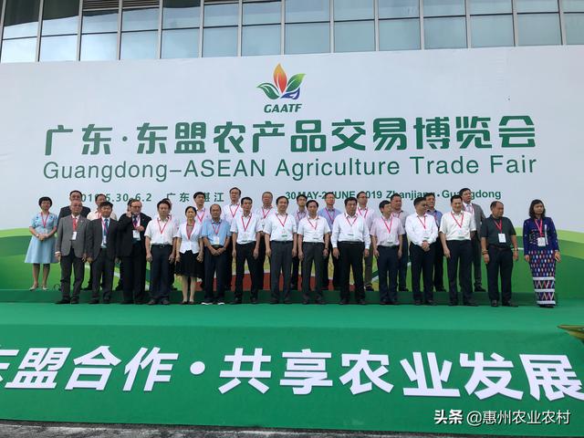 我市组织企业参加2019广东·东盟农产品交易博览会