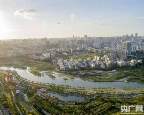 海口湿地修复融于城市建设最大人工梯田湿地有效治污
