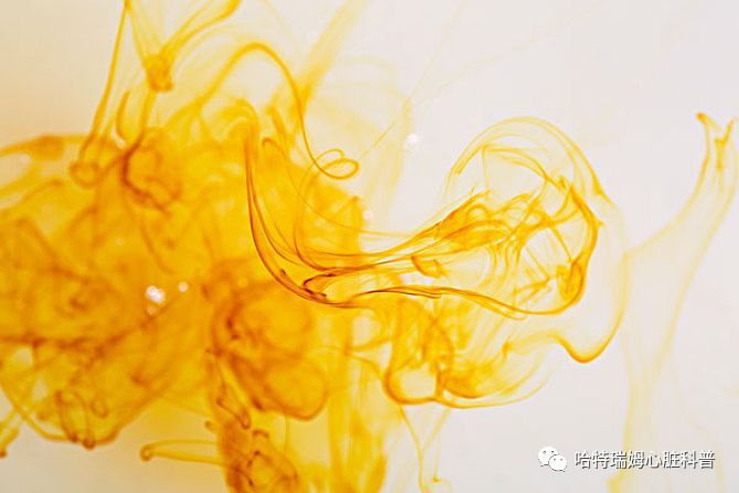 做冠脉造影和增强CT,二甲双胍并非一定要停!