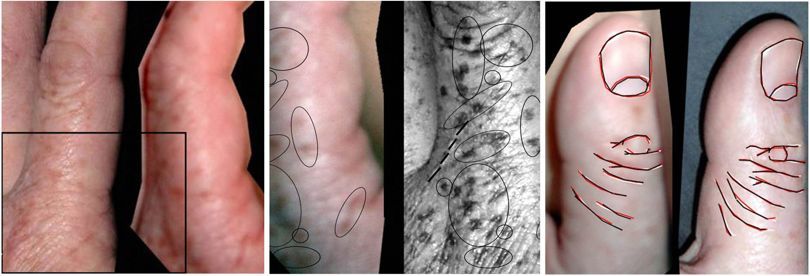 辨别恋童癖?她有一种通过手就能识别出来的方法