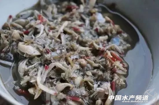 黄渤海沿岸城市特色海鲜图鉴!你最爱吃哪一款? 中国水产频道