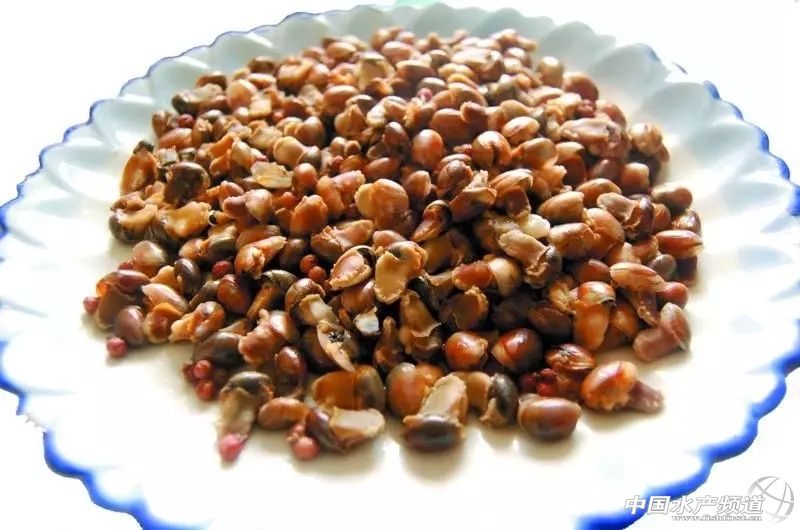 黄渤海沿岸城市特色海鲜图鉴!你最爱吃哪一款? 中国水产频道