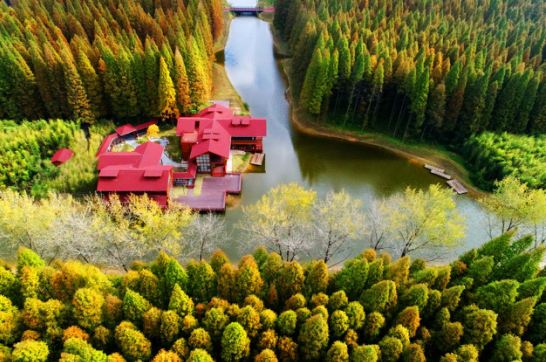 国庆长假去哪里？去弶港看海景尝秋鲜