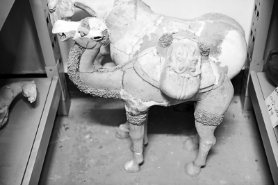 郑州“珍宝馆”5万件文物要搬家 商代的果盘、御用酒杯长啥样?