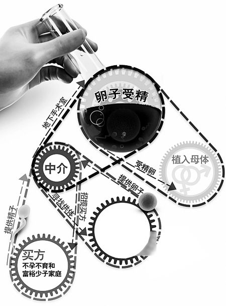 地下人卵交易示意图