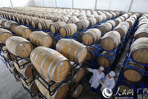 广西:种好一根蔗 甜蜜千万家