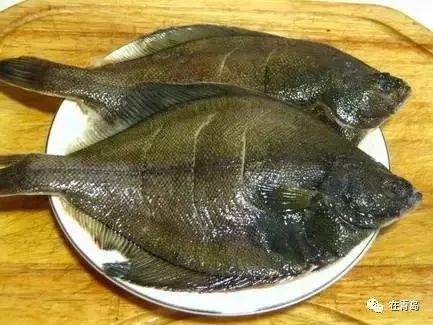 实拍青岛开春第一鲜开凌梭 错过再等一年(图)