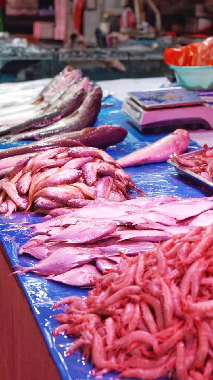 实拍青岛开春第一鲜开凌梭 错过再等一年(图)