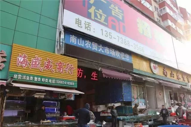 实拍青岛开春第一鲜开凌梭 错过再等一年(图)