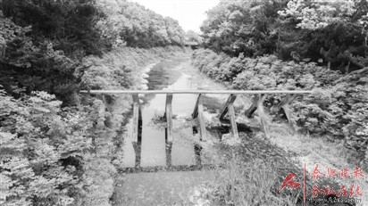 合肥南淝河上的26座桥