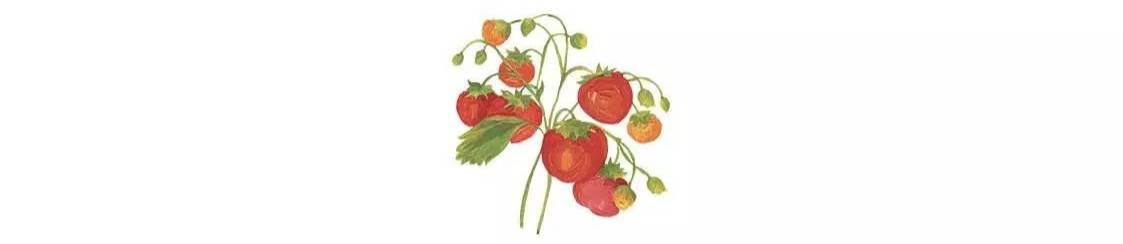 深海元素怎么用才有创意?(附实例)