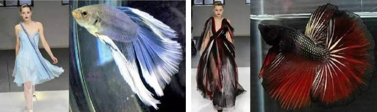 深海元素怎么用才有创意?(附实例)