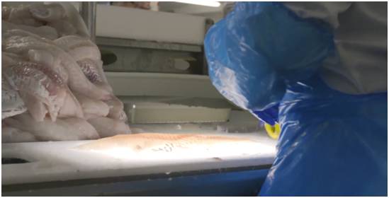 明日团|保健医都推荐孩子吃的鳕鱼,这里能买到真的!冰瑞思野生去