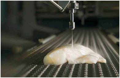 明日团|保健医都推荐孩子吃的鳕鱼,这里能买到真的!冰瑞思野生去