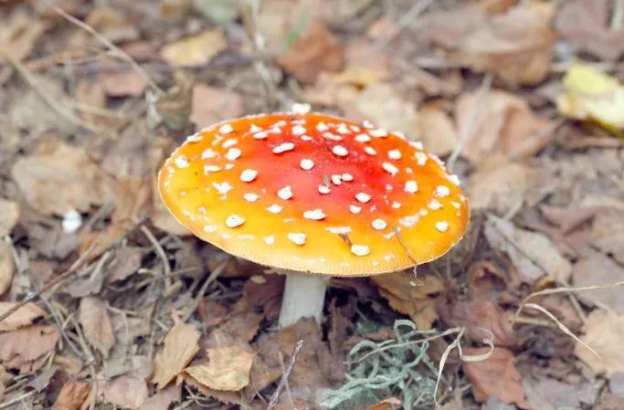 43人死亡！江西发布传染病疫情！定南人最近千万当心这些病…