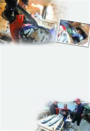 沙子口渔民独创冰桶储存法:鲅鱼味领先(图)